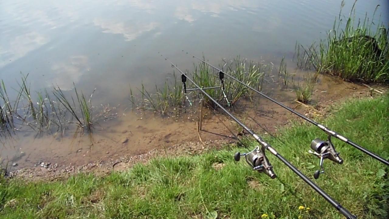 Cetariu 2011 - cetariu2011-050.JPG